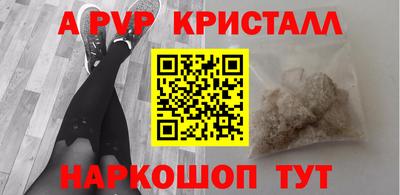 spice Кингисепп