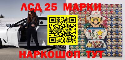 амф Кимры