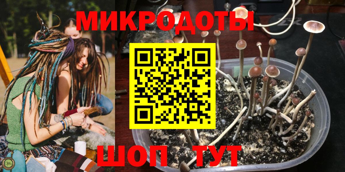 Донской  Галлюциногенные грибы прущие грибы  Вход с VPN  Псилоцибиновые грибы прущие грибы 