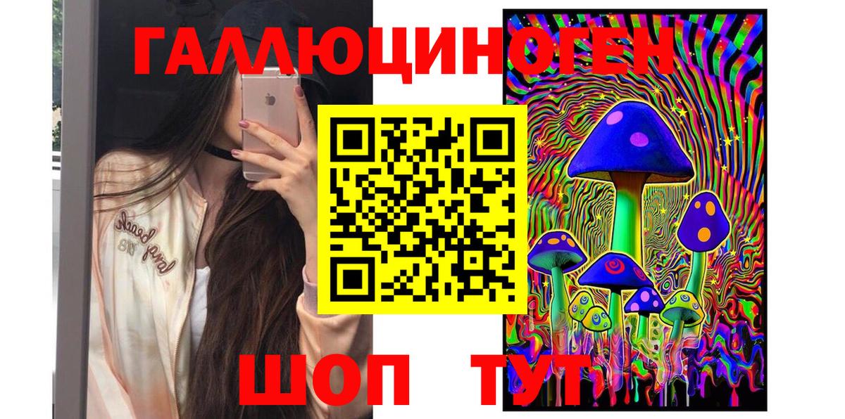 Псилоцибиновые грибы Psilocybine cubensis Донской