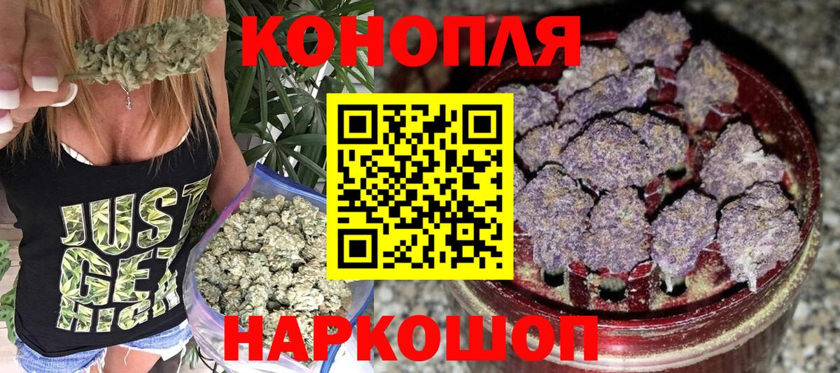 Бошки Шишки планчик Донской